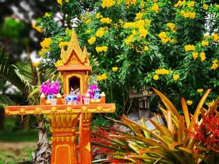 Villa Noina Glamping - Ban Nong Takhain - 3