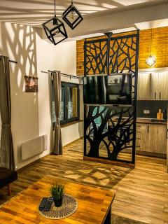 Vila Bašić Vlašić Apartman VUK - Vlasic - 0