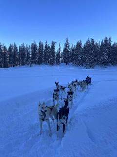 PUY SAINT VINCENT APPARTEMENT T2 BALCON SUPER PANORAMA AVEC PARKING PRIVE COUVERT et PISCINE L'ETE - 2