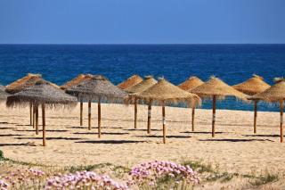 Centralgarve - Great, Bright 2-bedroom Flat in the Center of Vilamoura -Topázio - Vilamoura - 9