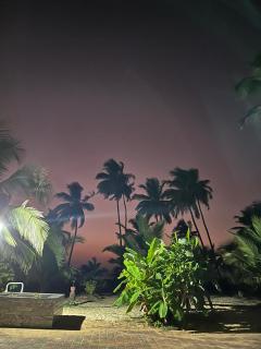 BEACH faceing rooms with private beach - Kalyānpur - 7