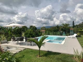 Torcaza Casa de Campo - 2