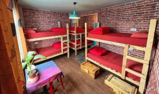 Lola backpacker's Hostel - 5