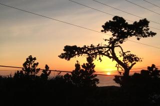 Newport's Cypress Oceanview Home - Newport - 4