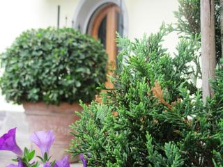 La Spiga Affittacamere - 3