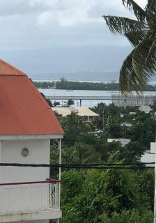 Appartement avec vue panoramique de Pointe-à-Pitre - Pointe-à-Pitre - 7