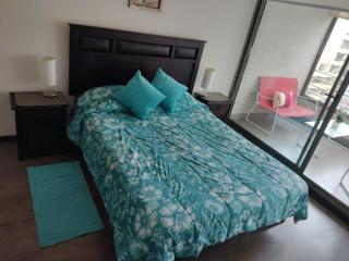 2 Poniente con 3 Norte HERMOSOS Departamentos - 4