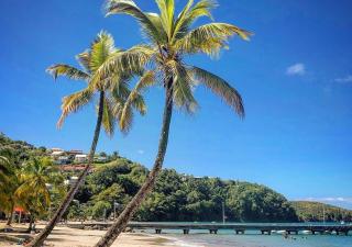 Superbe Appart T2 de standing, à l'Anse à l'âne, à 5mn à pied des plages - Les Trois-Îlets - 0