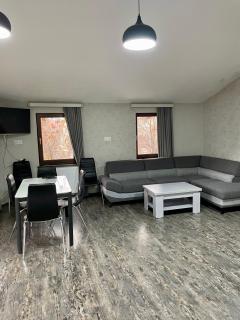 Family room in Bakuriani - 1