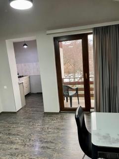 Family room in Bakuriani - 2