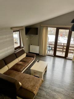 Family room in Bakuriani - 5