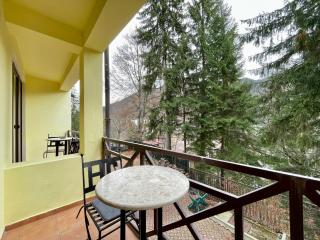 Vila Condor - Poiana Brasov - 6