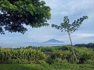 The Valley Guesthouse - Malang - 5