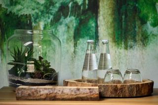 Centuria Hotel & Natural Spa - 1