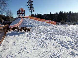 Penzion Šumavous - Vimperk - 5