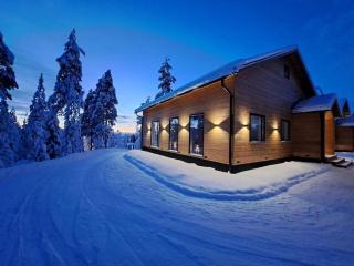 Villa Rakkarinne - Rovaniemi - 9