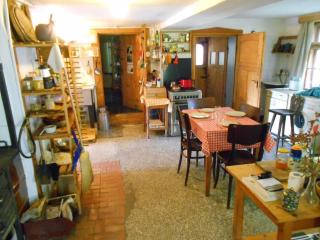 Golden View Villa - Great place for vacations - Przesieka - 5