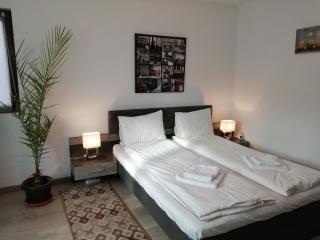 Villa 38 Silviu Apartment - Bucarest - 6