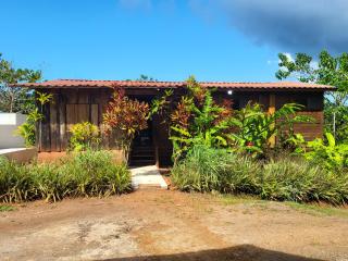 Private Mountaintop Cabin in Carara Biological Corridor 20 minutes to beaches - Carara - 0