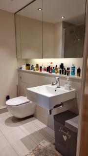 Beautiful and modern Apartment in North London - 4