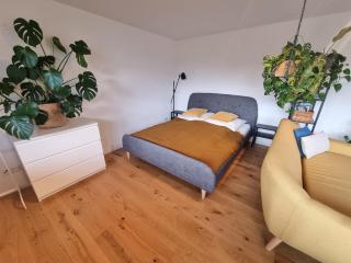 Traumhafte Gartenwohnung in Überlinger Hanglage - Zur goldenen Kiwi - Überlingen - 8