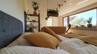 Traumhafte Gartenwohnung in Überlinger Hanglage - Zur goldenen Kiwi - Überlingen - 7