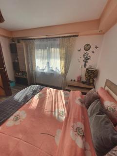 Casa Doina - Râşnov - 3