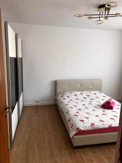 Garsoniera Flamingo Garii 4 - Braşov - 8