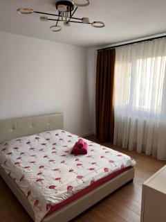 Garsoniera Flamingo Garii 4 - Braşov - 7