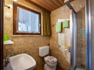 Appartement Alpenlöwe - Kirchberg in Tirol - 3
