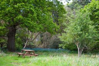 Laundry Cottage in a Nature Reserve - Sunday Times 100 coolest Cottages - - 3