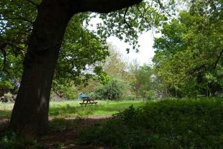 Cissys Cottage in a Nature Reserve, 7 minutes from Aldeburgh seafront - 5
