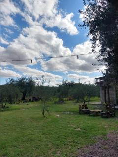 cabaña la olivia - 9