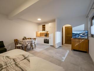 Appartement Alpenlöwe - Kirchberg in Tirol - 8