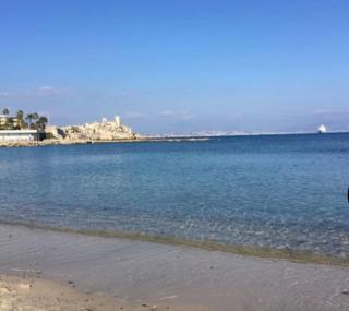 Superbe studio avec terrasse au cap d’antibes - Antibes - 2