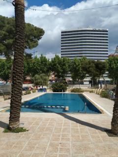 Las Damas estudio-Fincas Benidorm - Benidorm - 7