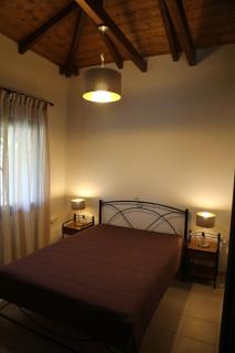 Boletus MushROOM - 8