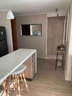 Hermoso Departamento para disfrutar y descansar - Pucón - 1