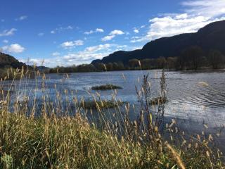 WEG Haus KMB Seeappartement am Ossiacher See, Hallenbad, Skiarena Gerlitzen - 3