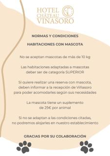 Hotel Château Viñasoro - Alcázar de San Juan - 8
