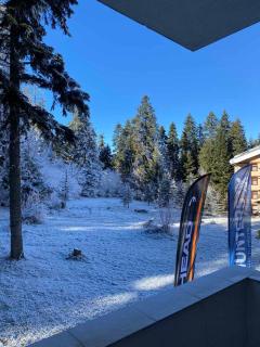 HQ Apartment Flora Violet - 2