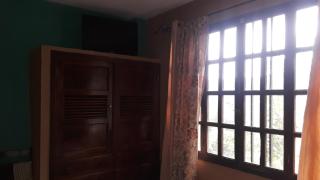 HOTEL EL ALMENDRO - Rovine di Copán - 2