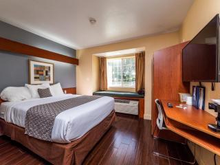 Microtel Inn and Suites Ocala - Ocala - 9