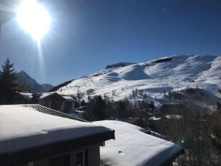 appartement ski au pied - Les Deux Alpes - 5