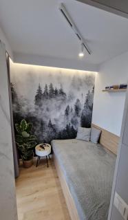 Magic House Apartament Proszowska 58 - Bochnia - 1