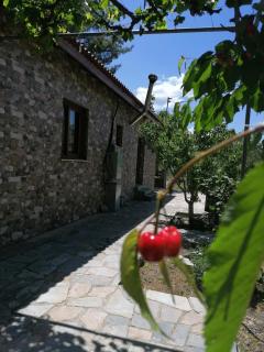 House de Fountas - 3