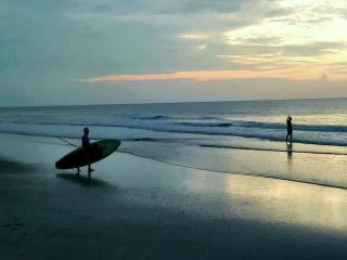 Beach Paradise, steps to beach, huge private yard, great location - Saint Augustine Beach - 8