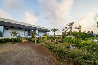 Haedenville Pension - Seogwipo - 7