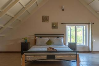 Yellow Tulip with Breakfast, BBQ Grill & Pet Home by StayVista - Coonoor - 1