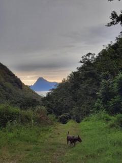 Vacation house in Tahiti - Punaauia - 1